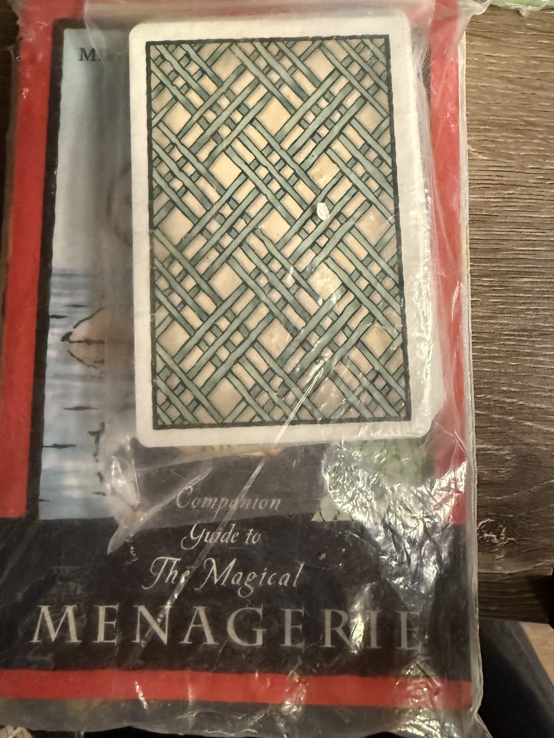 USED: The Magical Menagerie: Personal Power Through Animal Energies (Oracle Deck)