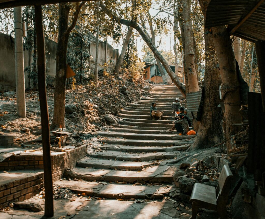 Staircase in a wooded area with sunlight filtering through trees, creating a serene atmosphere.