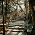 Staircase in a wooded area with sunlight filtering through trees, creating a serene atmosphere.