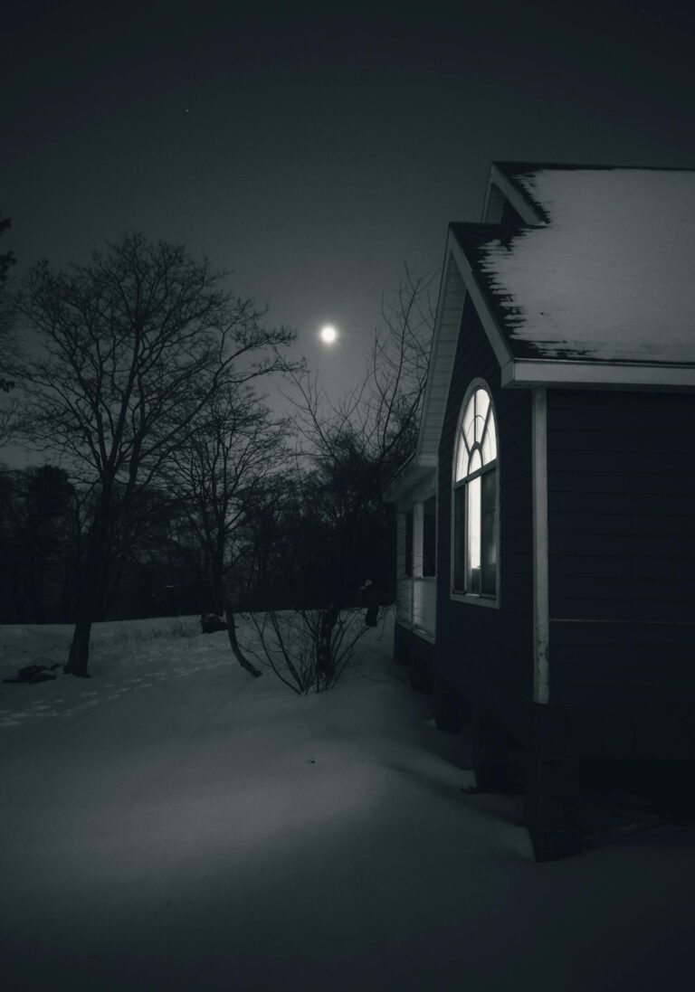 A serene snowy night scene with a house illuminated by moonlight in Jilin, China.