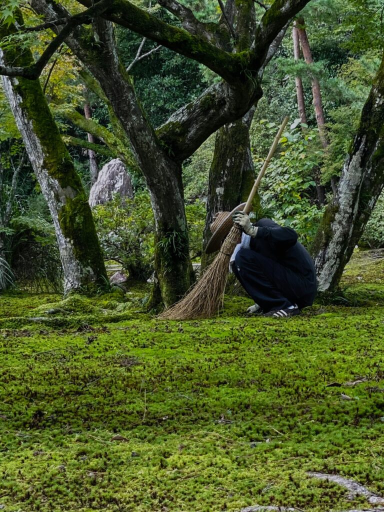 A gardener with a bamboo broom tends to lush green moss in a peaceful forest setting.