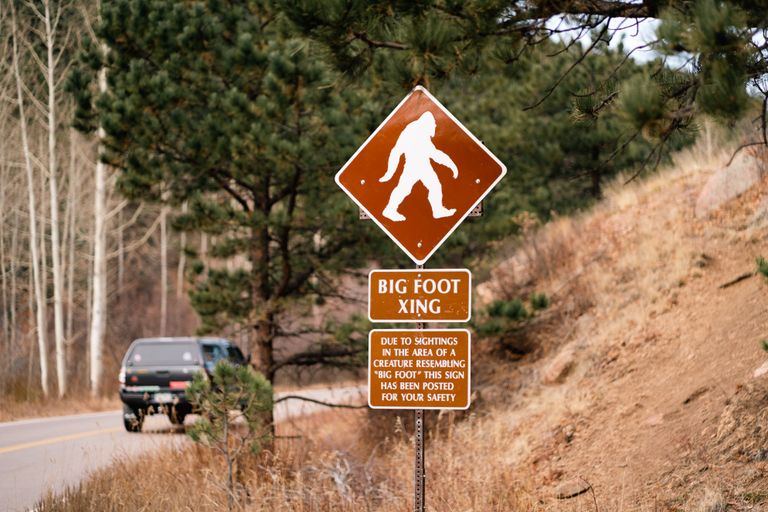 A humorous roadside Bigfoot crossing sign in a Colorado forest captures the spirit of adventure.