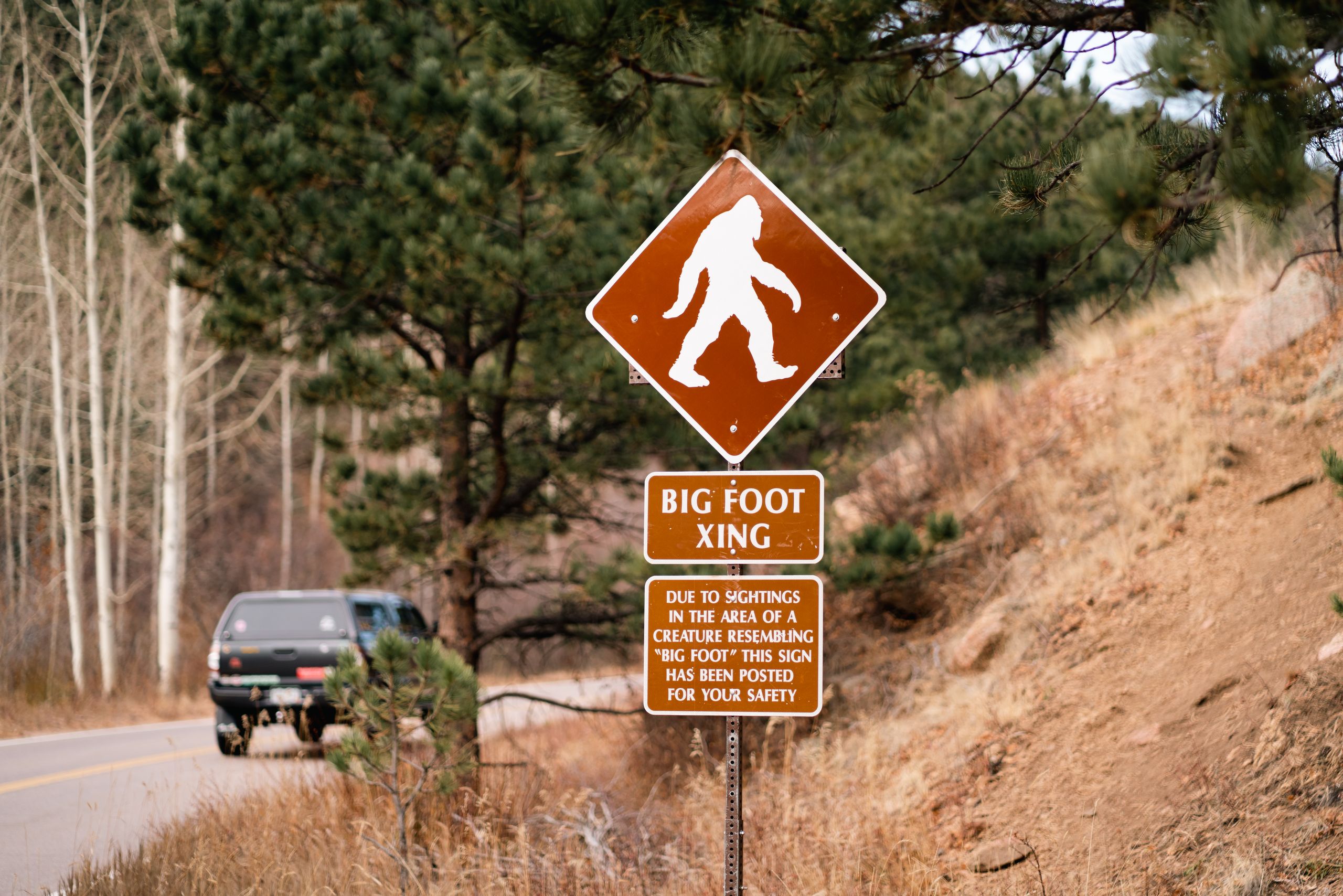 A humorous roadside Bigfoot crossing sign in a Colorado forest captures the spirit of adventure.