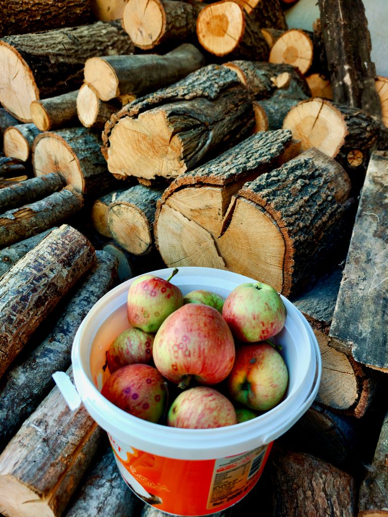 Vibrant apples in a bucket surrounded by neatly stacked firewood.